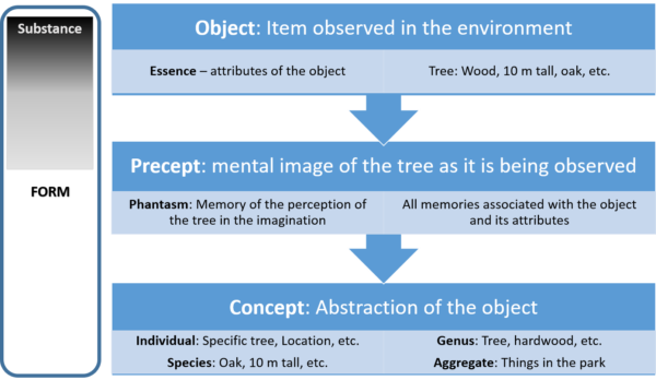 How Observation becomes Symbolic Language. Note how the substance desolves into form as the observed object is transcribed into the imagination.